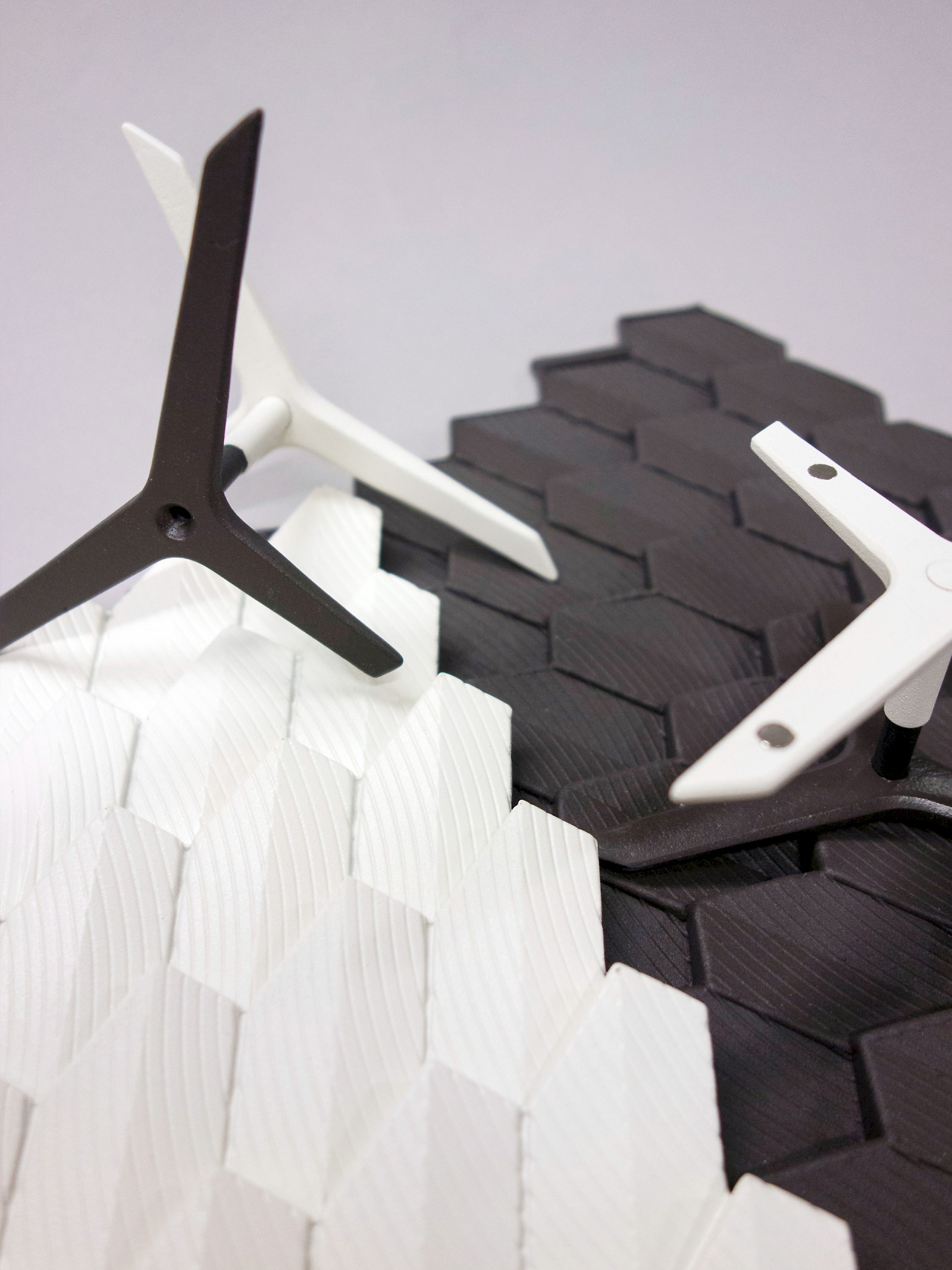 Philipp Bühler gewinnt Migros-Umweltpreis!