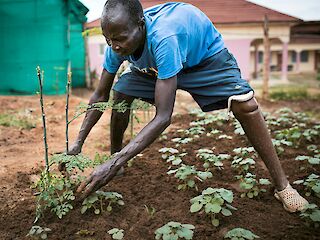 Limb Amputees, Photos by Intenational Committee of Red Cross ©.